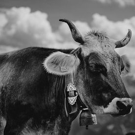 Alpine Cow by byFeelingz