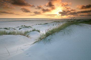 Zonsondergang in de duinen van Marko Sarcevic