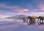 Elefantenherde von Alex Neumayer Miniaturansicht