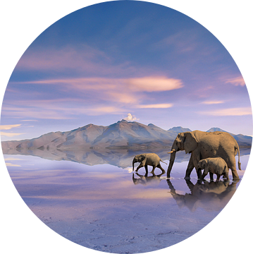 Kudde olifanten van Alex Neumayer