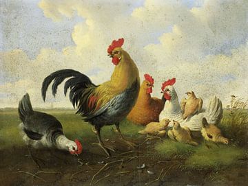 Een haan met kippen en kuikens, Albertus Verhoesen