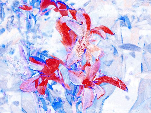 FlowerPower Fantasy 5-A