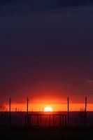 Coucher de soleil sur le parc éolien