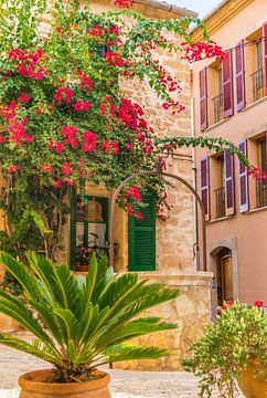 Huis met prachtige bloemen op het eiland Mallorca, Spanje Balearen van Alex Winter