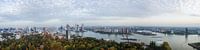 De skyline van Rotterdam van Dennis Van Den Elzen thumbnail