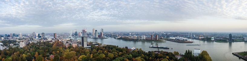 Die Skyline von Rotterdam von Dennis Van Den Elzen