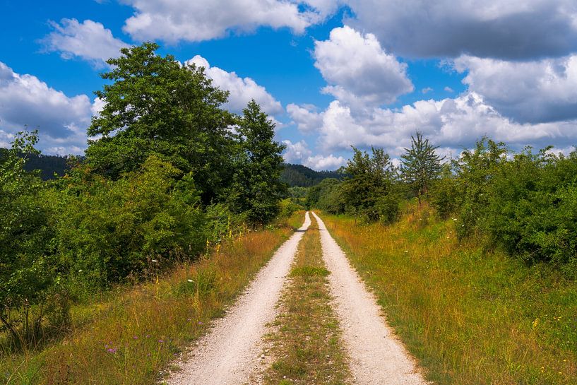 Idyllic landscape in the Altmühl valley by ManfredFotos
