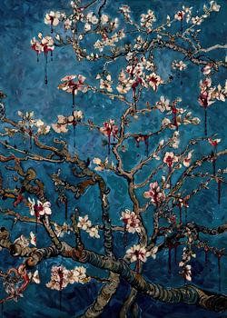 Amandier en fleurs — Fleur nocturne