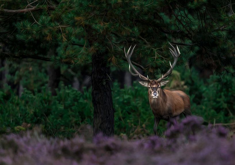 Deer in the rut. by Theo de Wild
