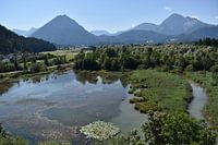 Pflach, Reutte, Lech in Tirol / Oostenrijk.  Foto's van de Lechauen, de Lech in de zomer.