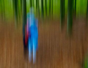Wandelen door het bos van Marianne Espeldoorn