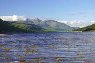 Kleurrijke Glen Etive in Schotland. van Babetts Bildergalerie thumbnail