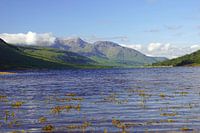 Colourful Glen Etive in Scotland.
