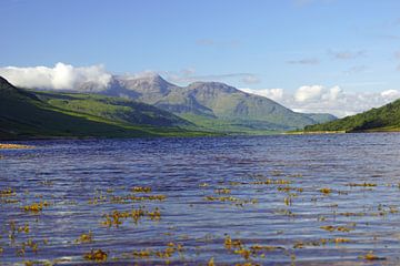 Glen Etive coloré en Ecosse. sur Babetts Bildergalerie