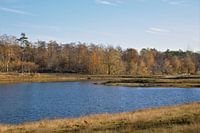 Herfstlandschap in Brabant