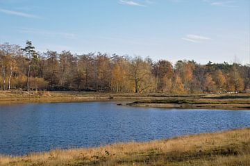 Herfstlandschap in Brabant van DoDiLa Foto's