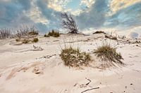 Schoorler Küste mit der Düne