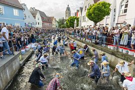 Fischertag in Memmingen von Walter G. Allgöwer