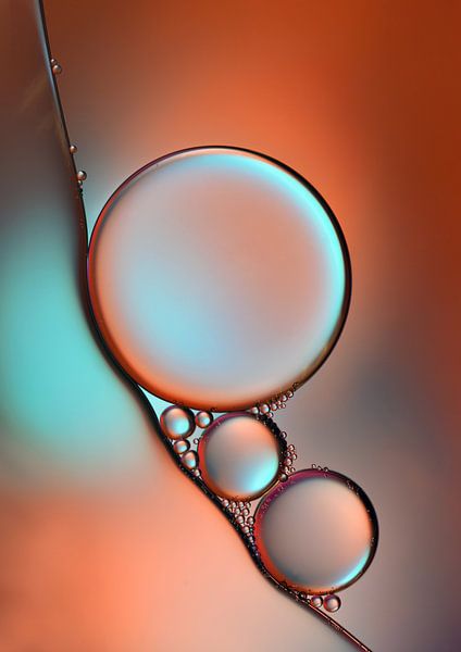Glimmer by Heidi Westum