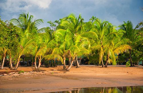 Een strandje langs de Suriname rivier
