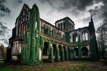 Verlaten kathedraal in natuur van Imperial Art House