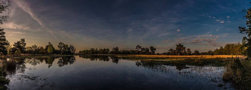strabrechtse heide by Edwin Hoek
