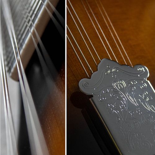 Mandoline Combi 01 | Image sur Yvonne Warmerdam | Made to resonate
