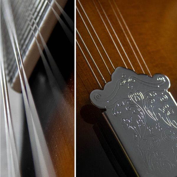 Mandolin Combi 01 | Picture by Yvonne Warmerdam