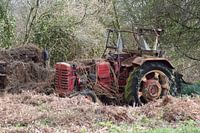 "wanneer de natuur het overneemt..."