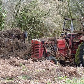 "wanneer de natuur het overneemt..." sur Pascal Engelbarts