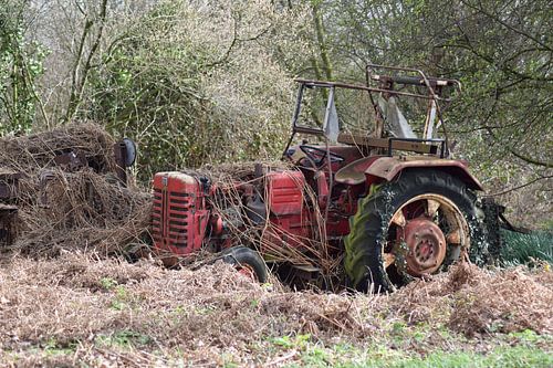 "wanneer de natuur het overneemt..."