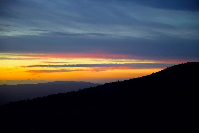 Sunset Eucalyptus Hills Talasnal by Laura Krol