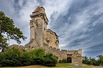 Kasteel van Liechtenstein van Roland Brack