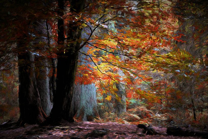 Bunte Herbstszene von Tejo Coen