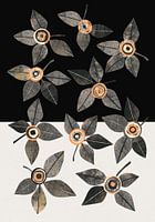 Antraciet Cantaloupe bloemen - Japandi - contrast achtergrond