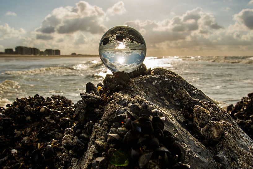 de zee van Bart Liesenborgs