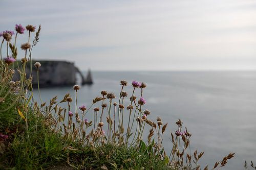 Etretat