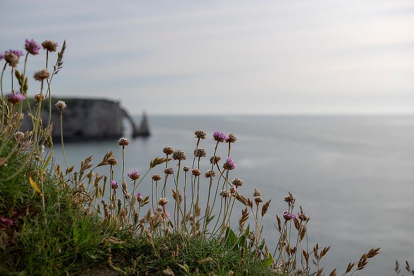 Etretat von Peter Bartelings