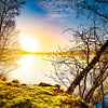 Sonnenaufgang am See von Günter Albers