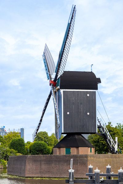 Mill on the Rijn in Leiden by Michael Ruland