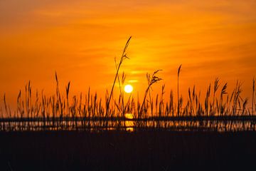 Sunset on the North Sea coast by Catrin Grabowski