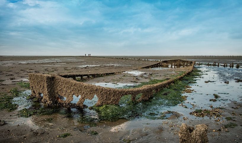 Het wrak van Wierum van Frans Nijland