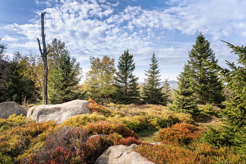 Sur la crête du Hohne dans le Harz par Steffen Henze