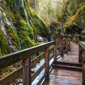 Wege zur Entspannung XXXV von Daniela Beyer