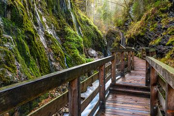 Wege zur Entspannung XXXV