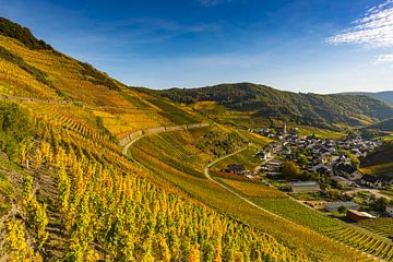 Vineyards in autumn, Mayschoß, Ahr Valley van Walter G. Allgöwer