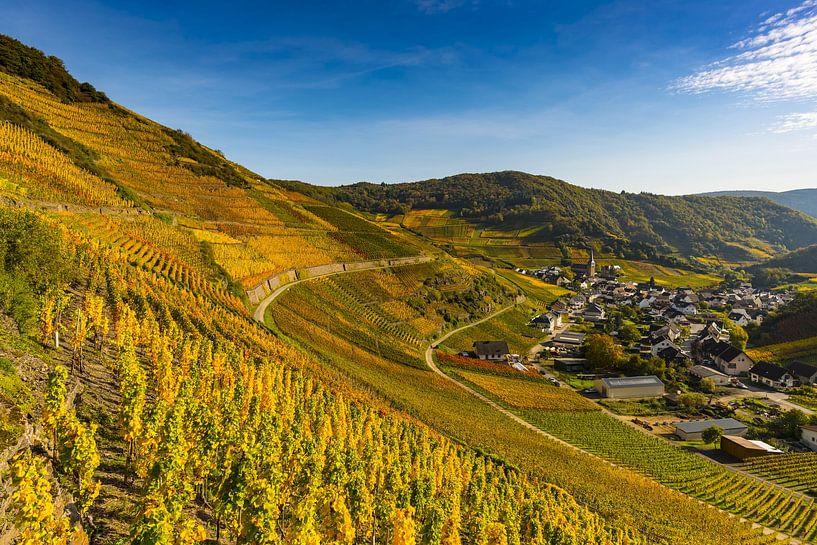 Weinberge im Herbst, Mayschoß, Ahrtal van Walter G. Allgöwer