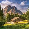 Maison en bois sur un alpage dans les Alpes / Dolomites en Italie sur Voss Fine Art Fotografie