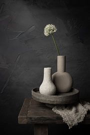 Earth & Bloom sur Mayra Fotografie