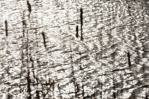 Dancing lights , sparkles of the sun on the flowing waves the water in motion